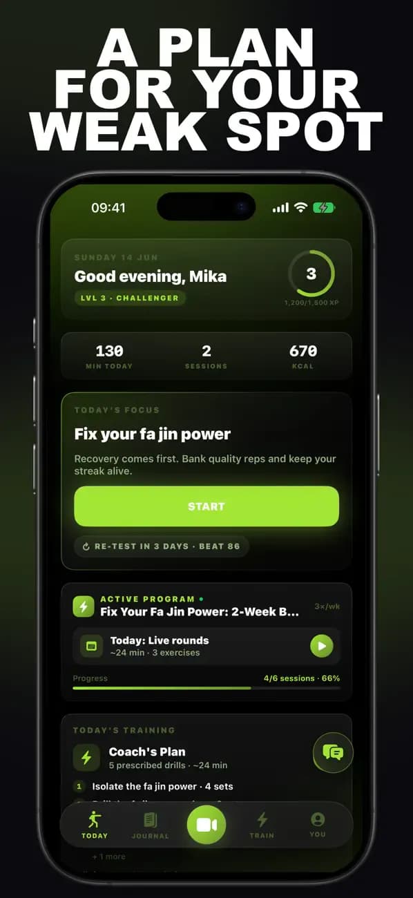 Kung Fu AI dashboard recommending a plan to fix your fa jin power.