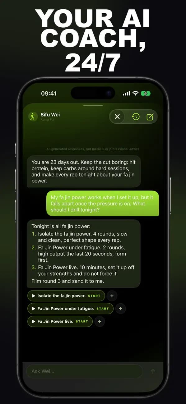 Kung Fu AI chat with Sifu Wei about your fa jin power.