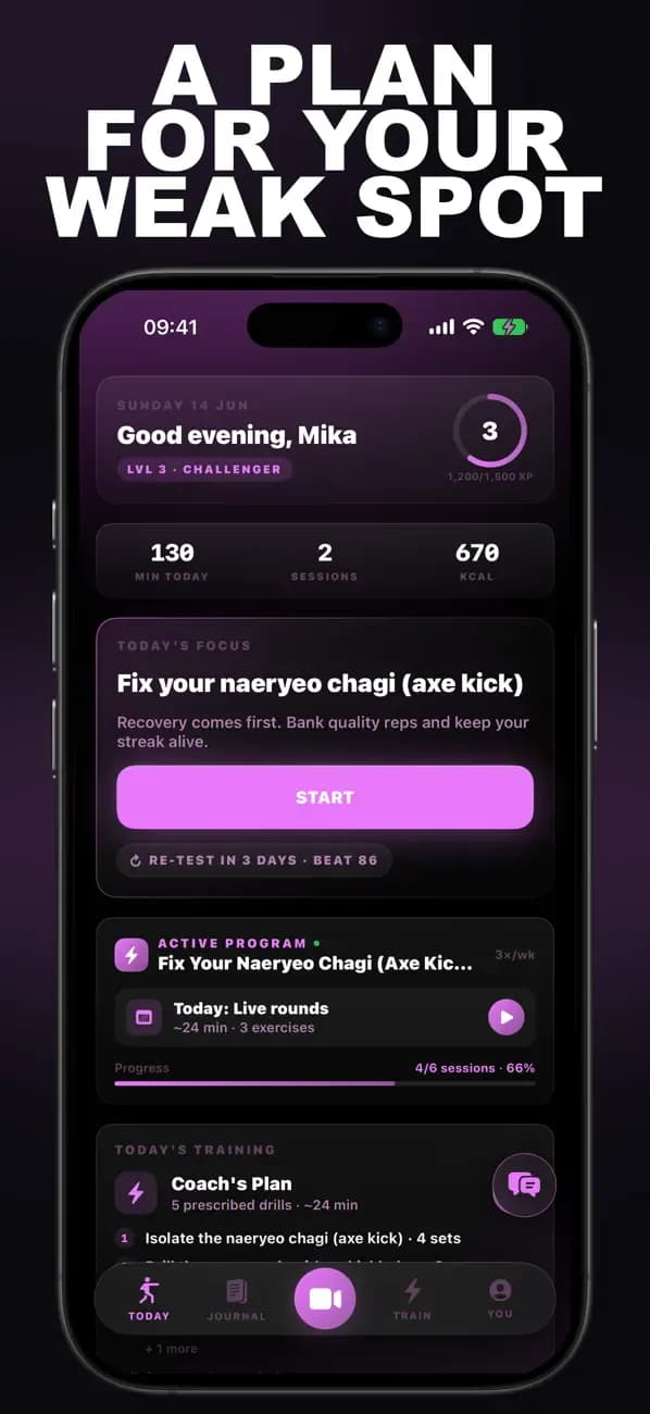 Taekwondo AI dashboard recommending a plan to fix your naeryeo chagi axe kick.
