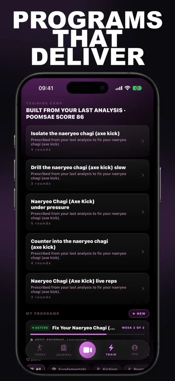 Taekwondo AI training prescription with programs built from a poomsae analysis.